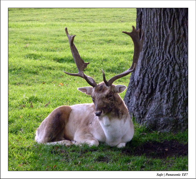 2010 - 10 - Stamford 35